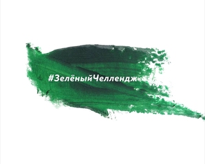 Партия «Зелёные» запустила #ЗелёныйЧеллендж 