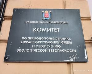 Лидеры питерских и якутских «Зелёных» обсудили дальнейшее взаимодействие между регионами в сфере ТКО