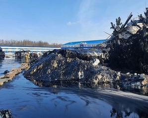 Пензенские «Зелёные» предложили взять на общественный контроль устранение экологического вреда от разлива битума 