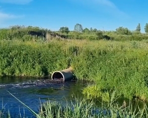 «Зеленые» намерены защитить приток Волги в Ивановской области