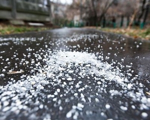 Московские «Зелёные» призвали убирать реагенты с дорог в течение 1,5 часов
