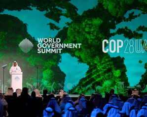 COP28: ГЛОБАЛЬНОЕ СЛОВОБЛУДИЕ
