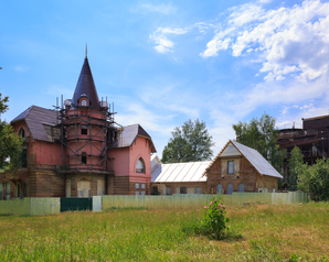 Белгородские «Зелёные» провели обследование более 80 деревьев в Мухановском парке